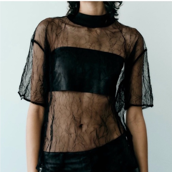 Zara Tops - Zara Elegant Black Sheer Blouse